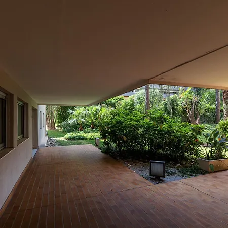 דירה 1 Bdr Large Terrace ניס